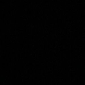 Meet your Posher, Lindsay